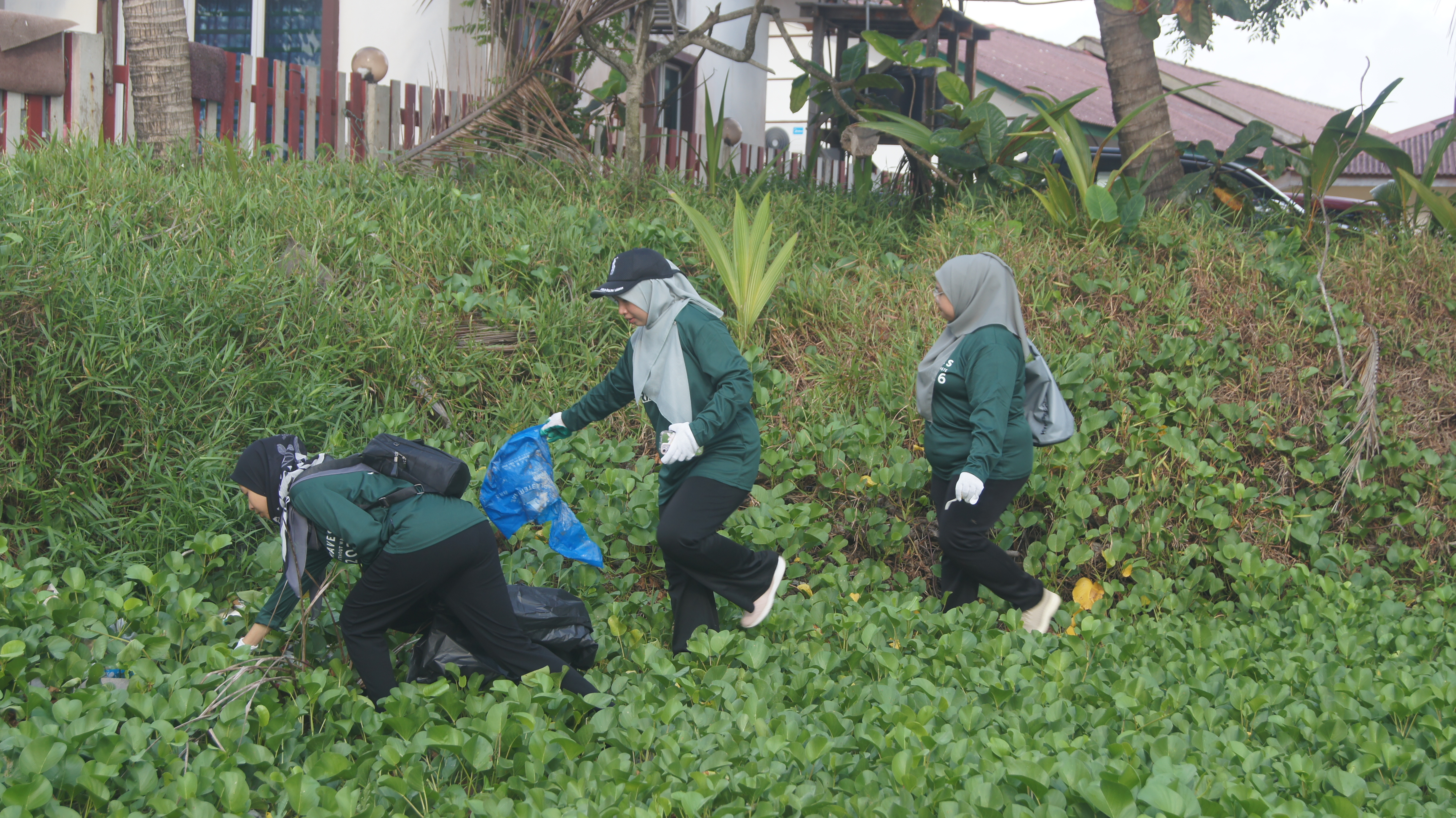 Environmental Stewardship
